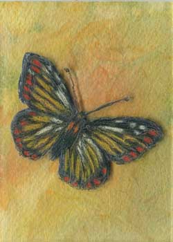 "Butterfly" by Audrey J Wilde, Wausau WI - Watercolor & Colored Pencil on Plexiglass - SOLD